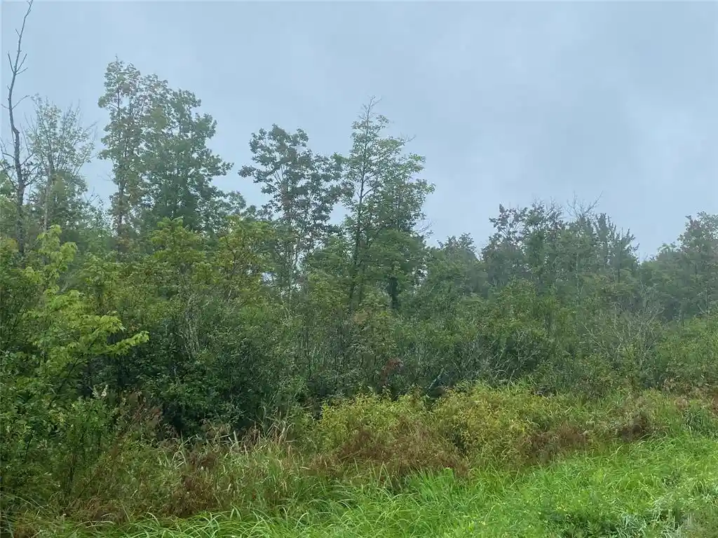 7th image of On Pennington Road Road, Prentice, WI 54556 | MLS# 1599132