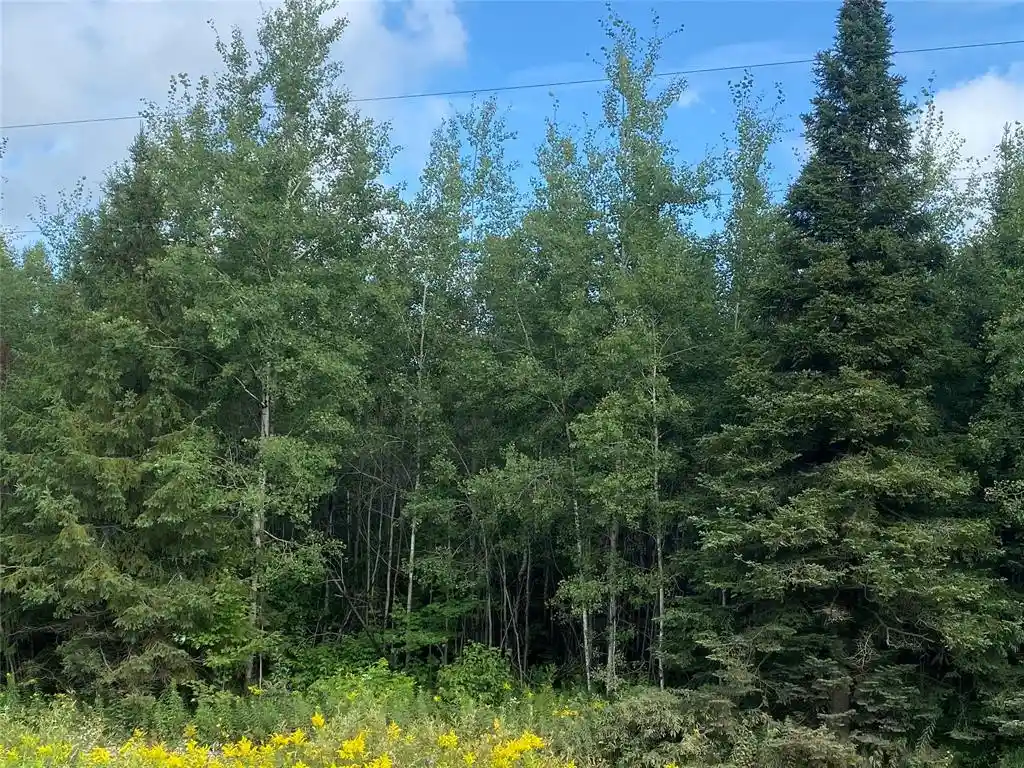 3rd image of On County Hwy E, Park Falls, WI 54552 | MLS# 1599133