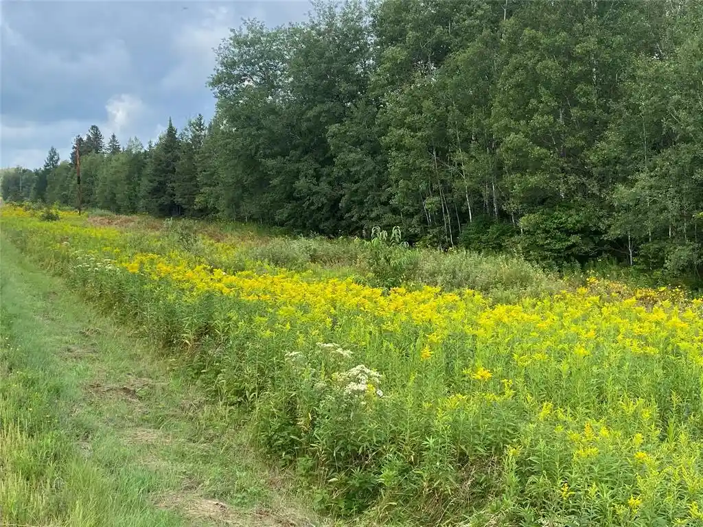 4th image of On County Hwy E, Park Falls, WI 54552 | MLS# 1599133