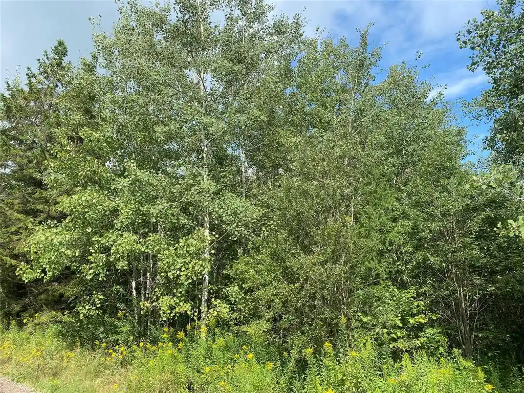 6th image of On County Hwy E, Park Falls, WI 54552 | MLS# 1599133