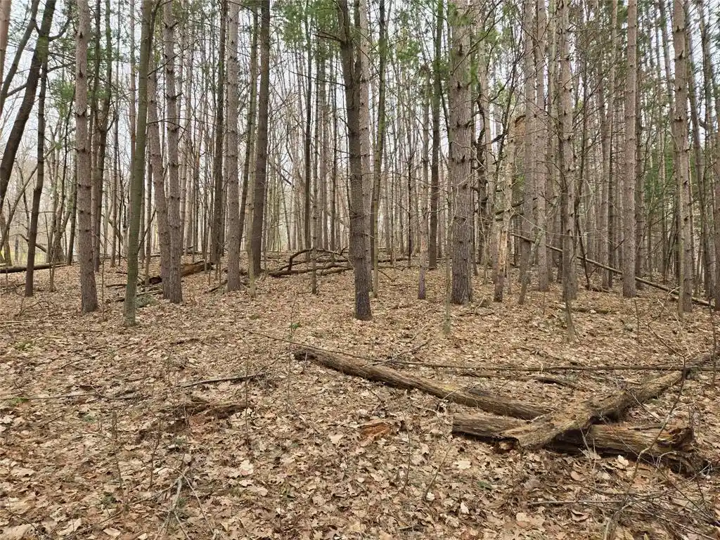 Photo 3 of Land for sale at Lot 3 732nd Avenue Avenue, Menomonie, WI 54751 | MLS# 1599578 | Listing updated on 2026-09-17
