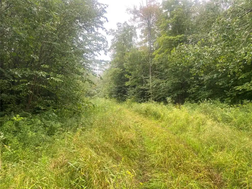 1st image of Near Timber Road Road, Catawba, WI 54515 | MLS# 1599135