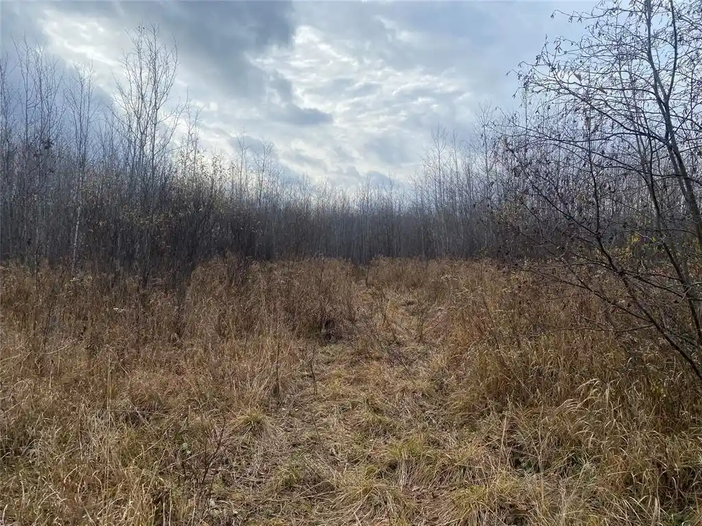 2nd image of Near Timber Road Road, Catawba, WI 54515 | MLS# 1599135