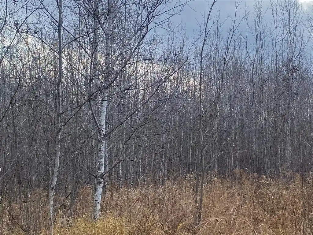 3rd image of Near Timber Road Road, Catawba, WI 54515 | MLS# 1599135