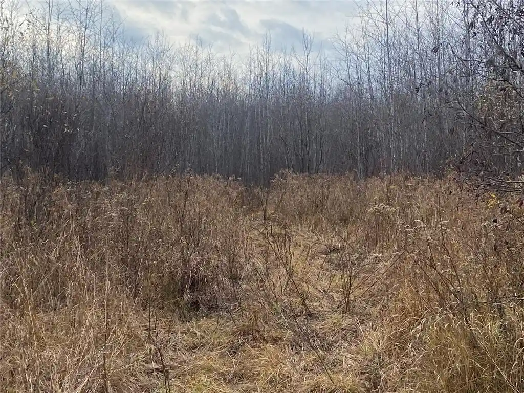 4th image of Near Timber Road Road, Catawba, WI 54515 | MLS# 1599135