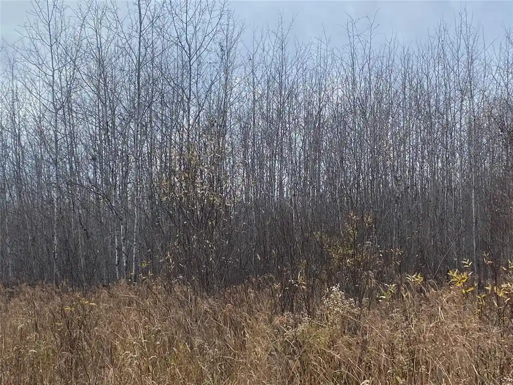 5th image of Near Timber Road Road, Catawba, WI 54515 | MLS# 1599135