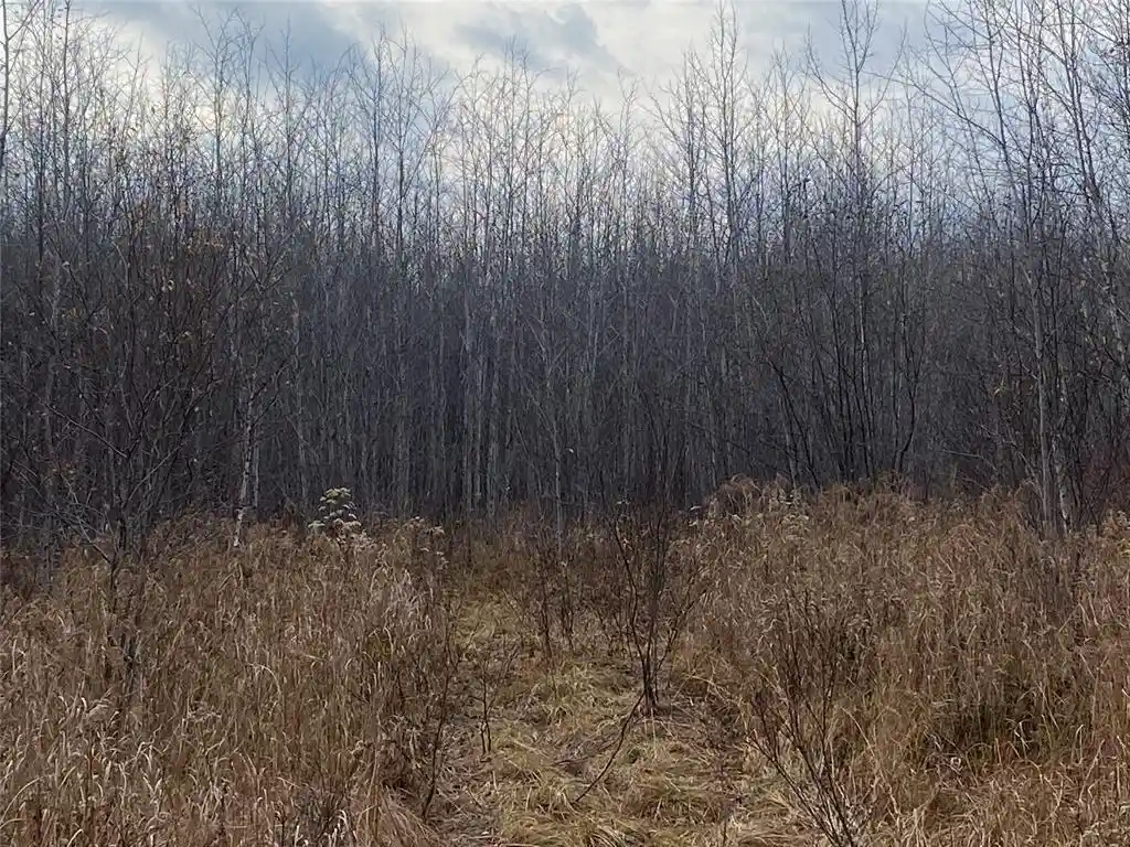 7th image of Near Timber Road Road, Catawba, WI 54515 | MLS# 1599135