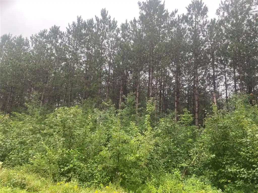 3rd image of On Old 14 Road Road, Bruce, WI 54819 | MLS# 1599136