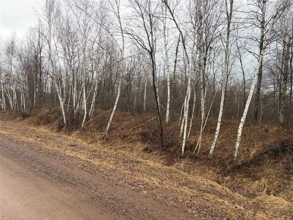 1st image of On Sheep Camp Road, Ladysmith, WI 54848 | MLS# 1599296