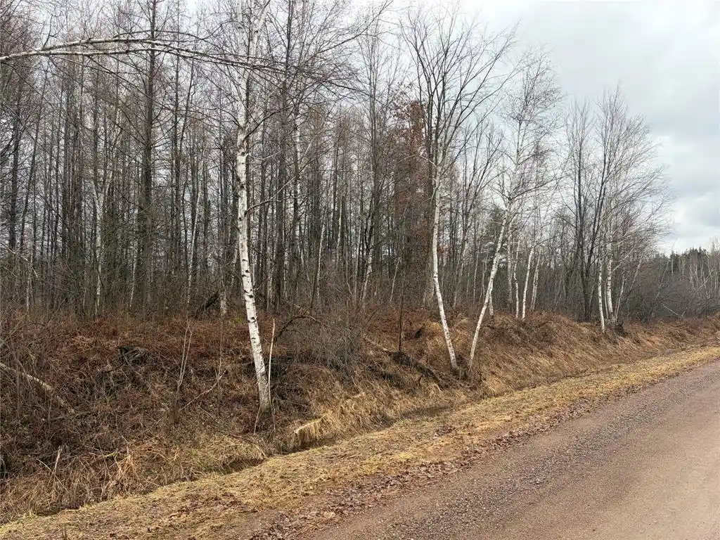 2nd image of On Sheep Camp Road, Ladysmith, WI 54848 | MLS# 1599296