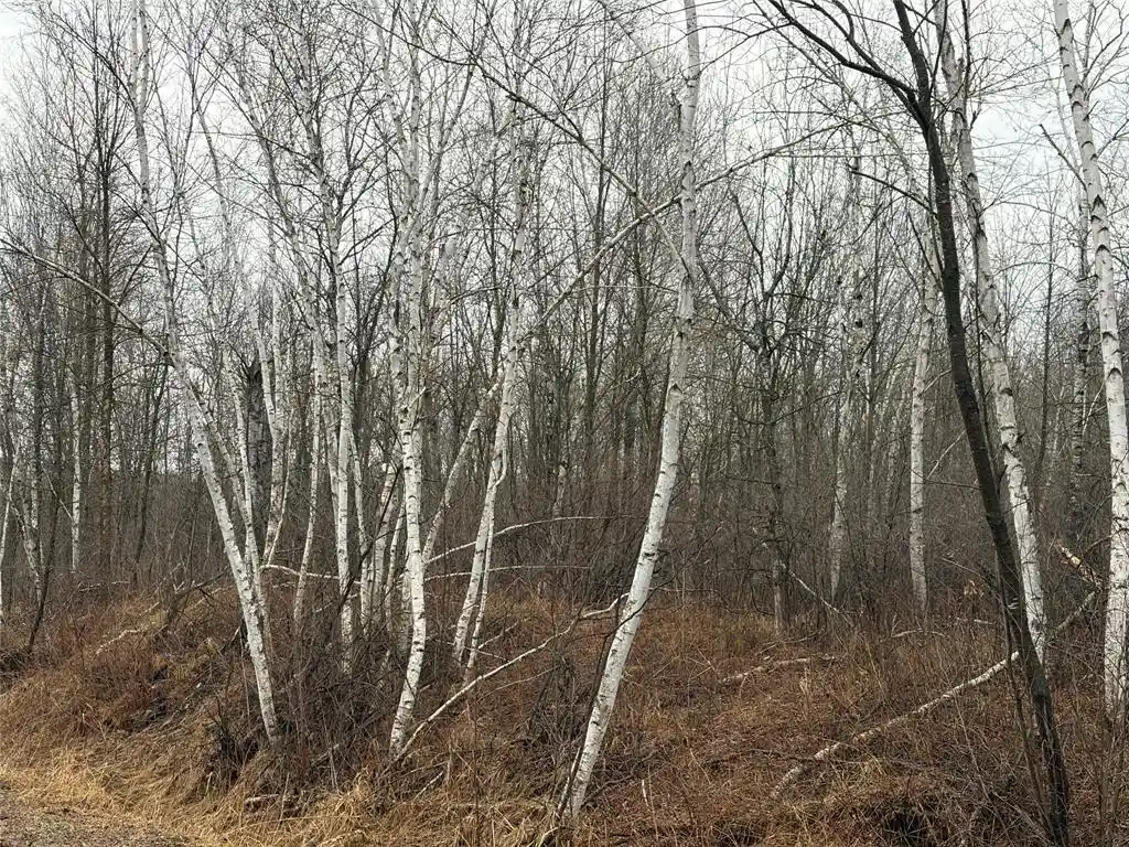 4th image of On Sheep Camp Road, Ladysmith, WI 54848 | MLS# 1599296