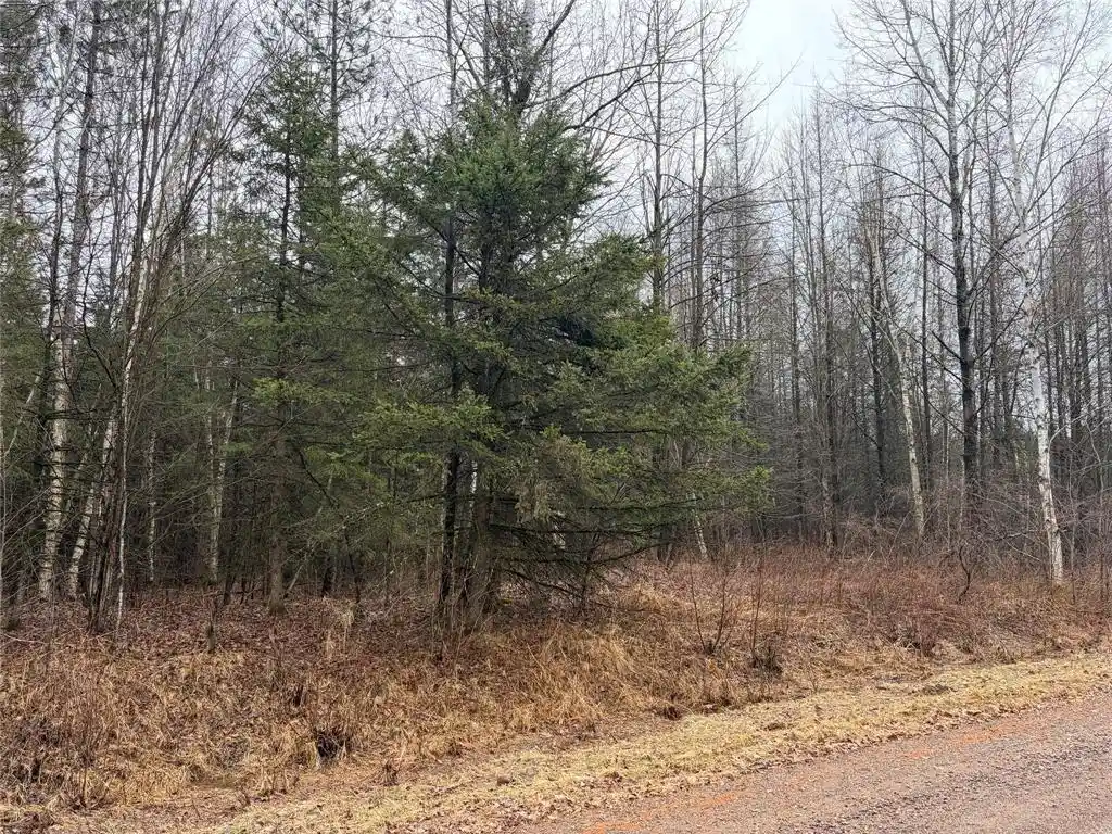 6th image of On Sheep Camp Road, Ladysmith, WI 54848 | MLS# 1599296