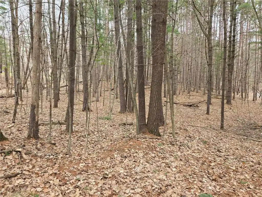Photo 3 of Land for sale at E5310 732Nd Avenue Avenue, Menomonie, WI 54751 | MLS# 7046222 | Listing updated on 2026-09-17