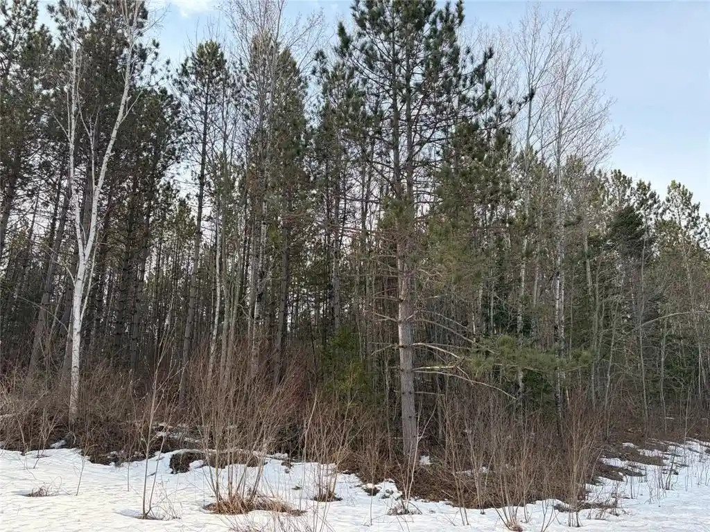 Photo 2 of Land for sale at On Barker Lake Road Road Road, Winter, WI 54896 | MLS# 1599276 | Listing updated on 2026-08-24