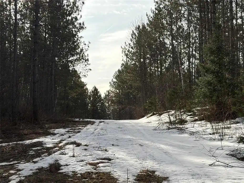 Photo 7 of Land for sale at On Barker Lake Road Road Road, Winter, WI 54896 | MLS# 1599276 | Listing updated on 2026-08-24