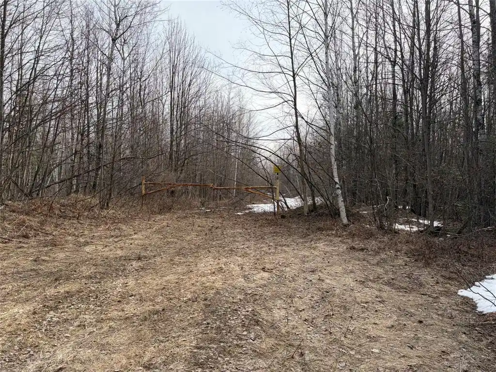 Photo 2 of Land for sale at On Cth B, Winter, WI 54896 | MLS# 1599277 | Listing updated on 2026-08-24