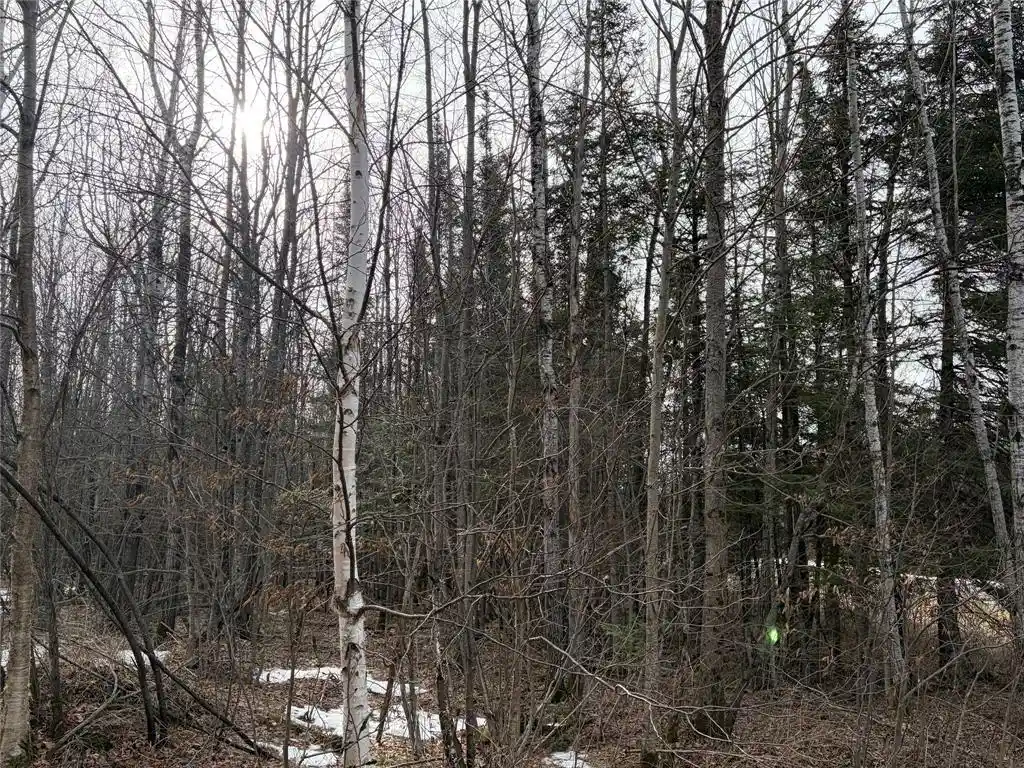 Photo 4 of Land for sale at On Cth B, Winter, WI 54896 | MLS# 1599277 | Listing updated on 2026-08-24