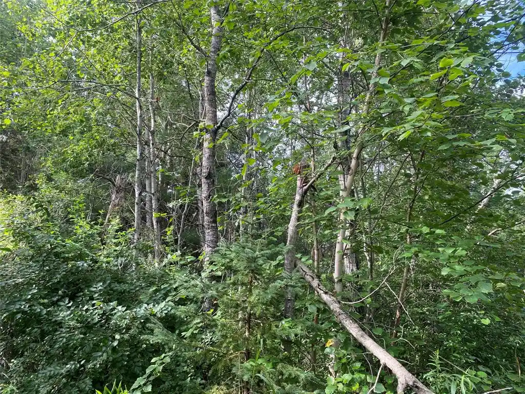 1st image of On Delap Lane, Couderay, WI 54828 | MLS# 1599289