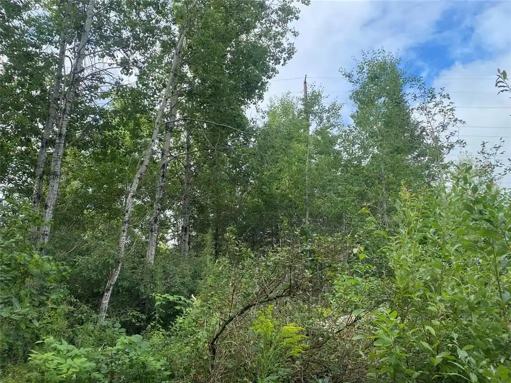2nd image of On Delap Lane, Couderay, WI 54828 | MLS# 1599289