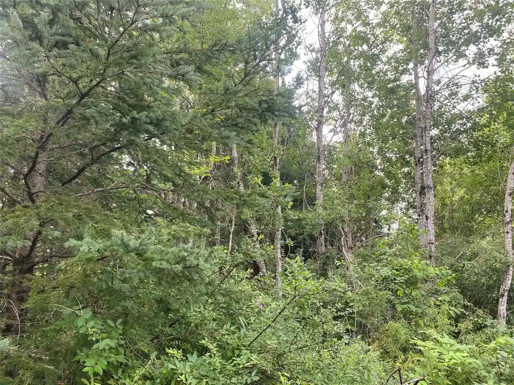 4th image of On Delap Lane, Couderay, WI 54828 | MLS# 1599289