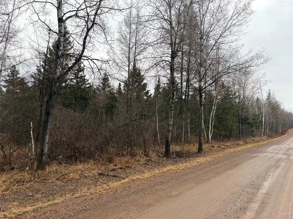 Photo 1 of Land for sale at On Sheep Camp Road, Ladysmith, WI 54848 | MLS# 1599297 | Listing updated on 2026-08-24