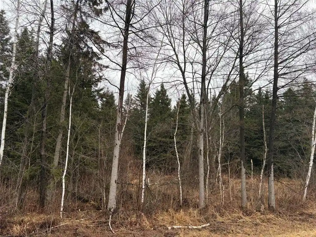 Photo 3 of Land for sale at On Sheep Camp Road, Ladysmith, WI 54848 | MLS# 1599297 | Listing updated on 2026-08-24