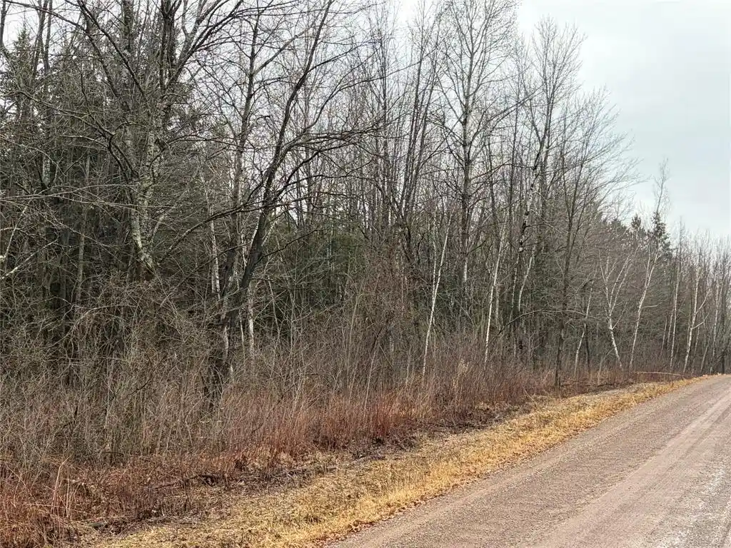 Photo 3 of Land for sale at On Sheep Camp Road, Ladysmith, WI 54848 | MLS# 1599297 | Listing updated on 2026-08-24