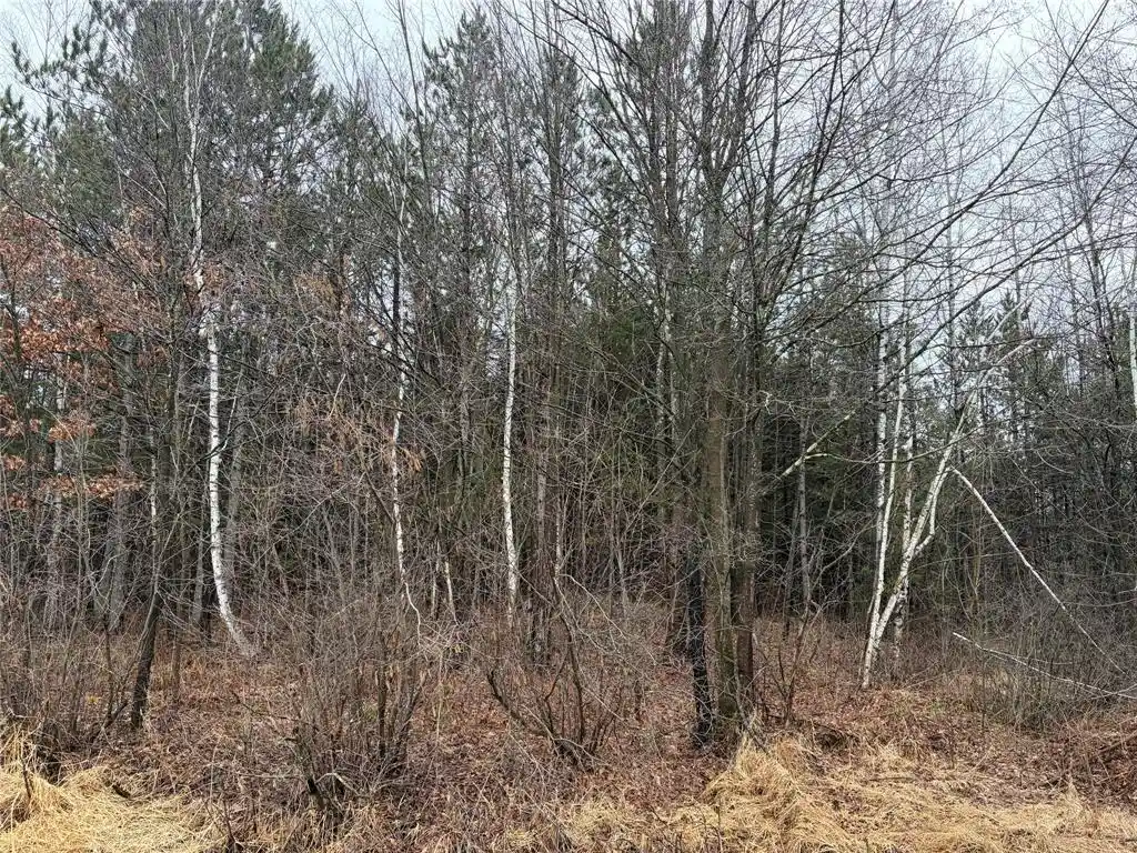 Photo 4 of Land for sale at On Sheep Camp Road, Ladysmith, WI 54848 | MLS# 1599297 | Listing updated on 2026-08-24
