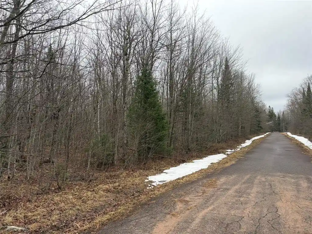 Photo 3 of Land for sale at On Hofer Road, Couderay, WI 54828 | MLS# 1599292 | Listing updated on 2026-08-24