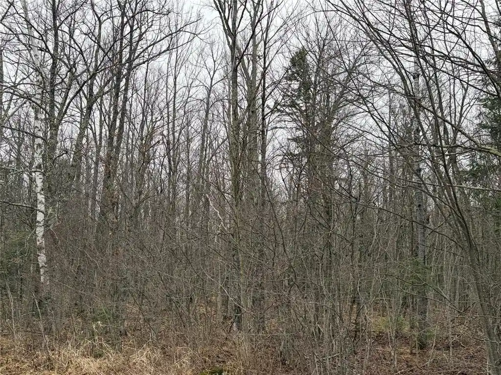 Photo 3 of Land for sale at On Hofer Road, Couderay, WI 54828 | MLS# 1599292 | Listing updated on 2026-08-24