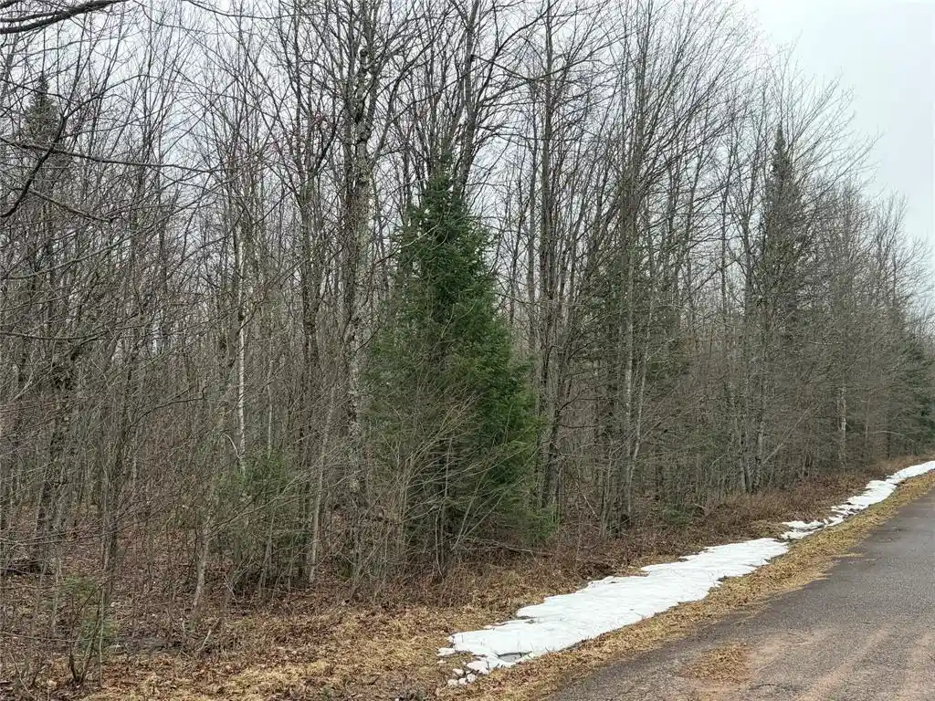 Photo 4 of Land for sale at On Hofer Road, Couderay, WI 54828 | MLS# 1599292 | Listing updated on 2026-08-24