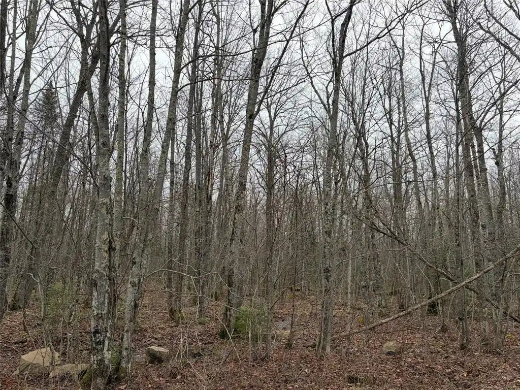 6th image of On Hofer Road, Couderay, WI 54828 | MLS# 1599292