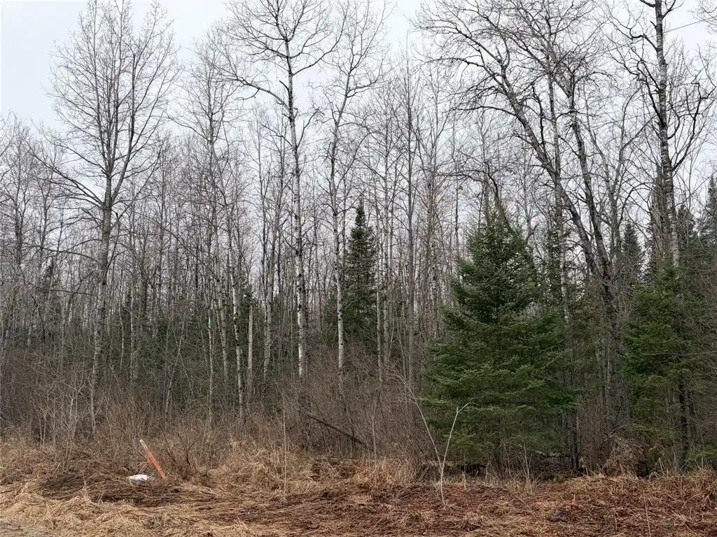 2nd image of On Old Couderay Road, Couderay, WI 54828 | MLS# 1599293