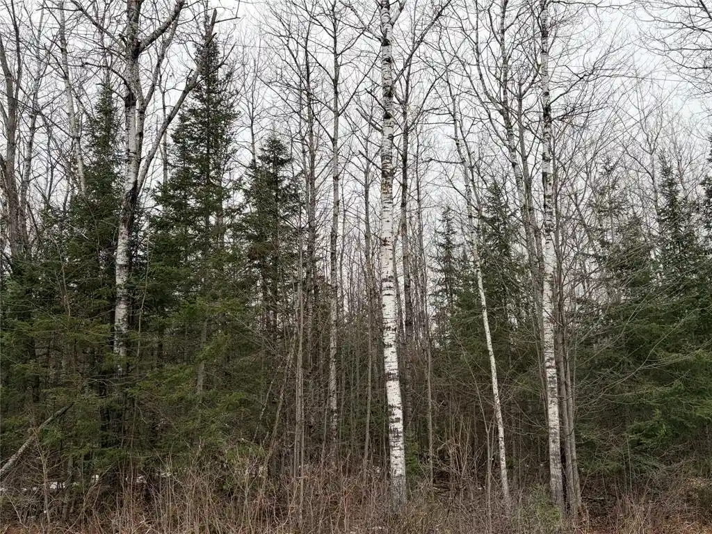 4th image of On Old Couderay Road, Couderay, WI 54828 | MLS# 1599293