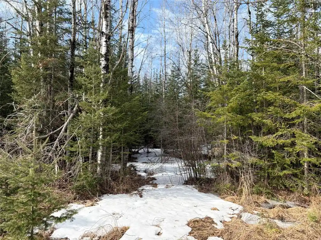 3rd image of On Cth F, Park Falls, WI 54552 | MLS# 1599313
