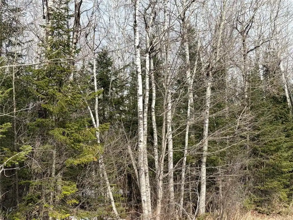 4th image of On Cth F, Park Falls, WI 54552 | MLS# 1599313