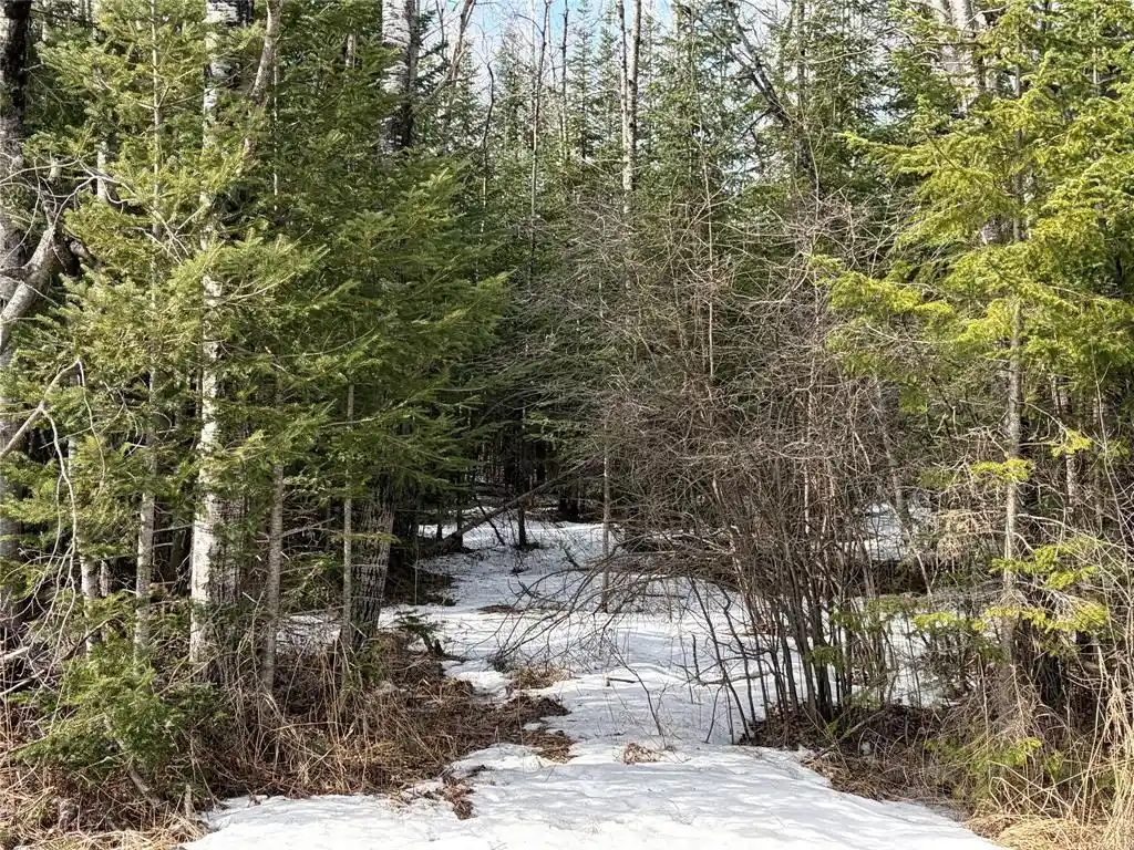 5th image of On Cth F, Park Falls, WI 54552 | MLS# 1599313