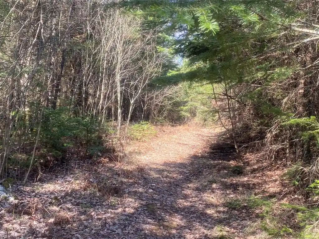Photo 3 of Land for sale at On Cth F, Park Falls, WI 54552 | MLS# 1599314 | Listing updated on 2026-08-24