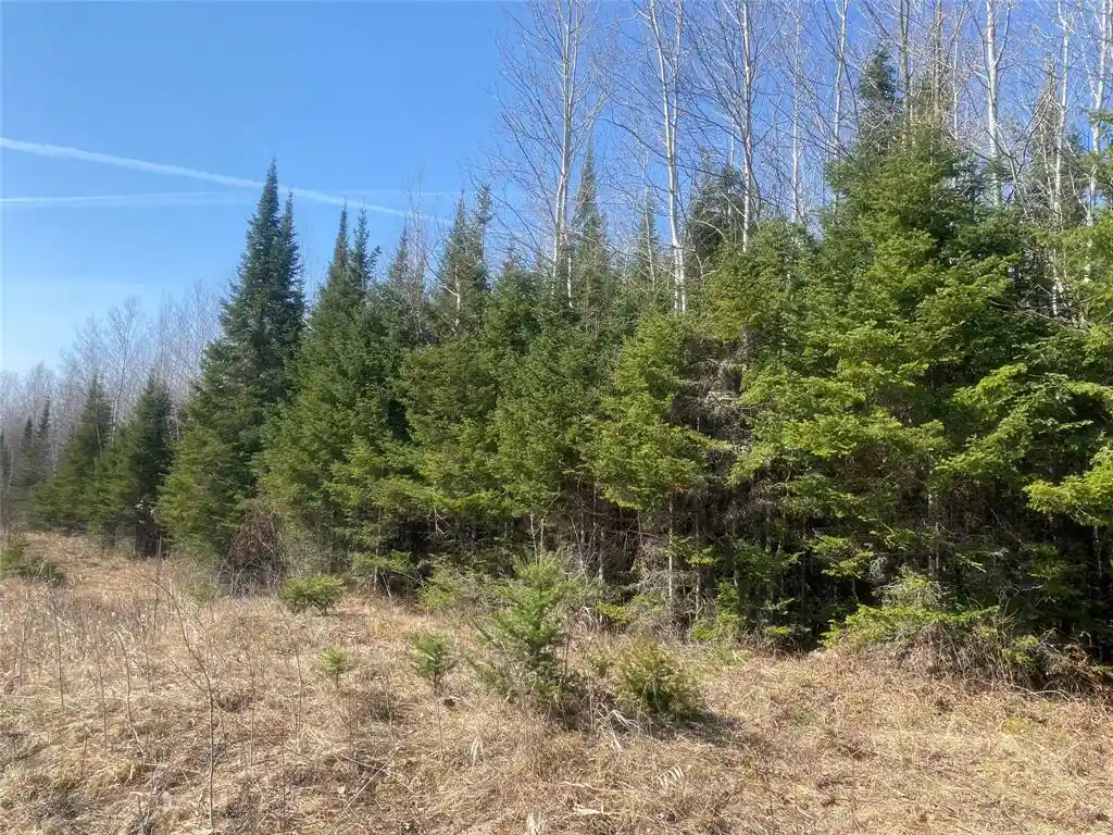 Photo 4 of Land for sale at On Cth F, Park Falls, WI 54552 | MLS# 1599314 | Listing updated on 2026-08-24
