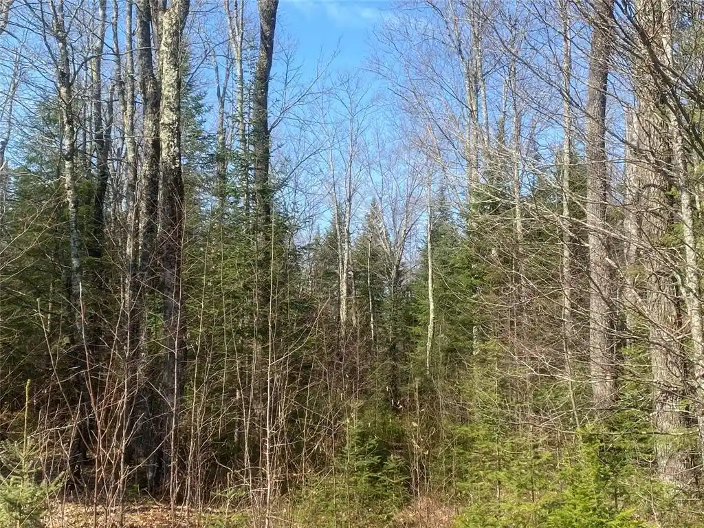 Photo 8 of Land for sale at On Cth F, Park Falls, WI 54552 | MLS# 1599314 | Listing updated on 2026-08-24