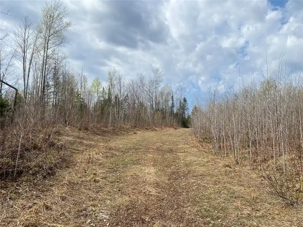 Photo 2 of Land for sale at Near Wilson Lake Road, Phillips, WI 54555 | MLS# 1599330 | Listing updated on 2026-08-24