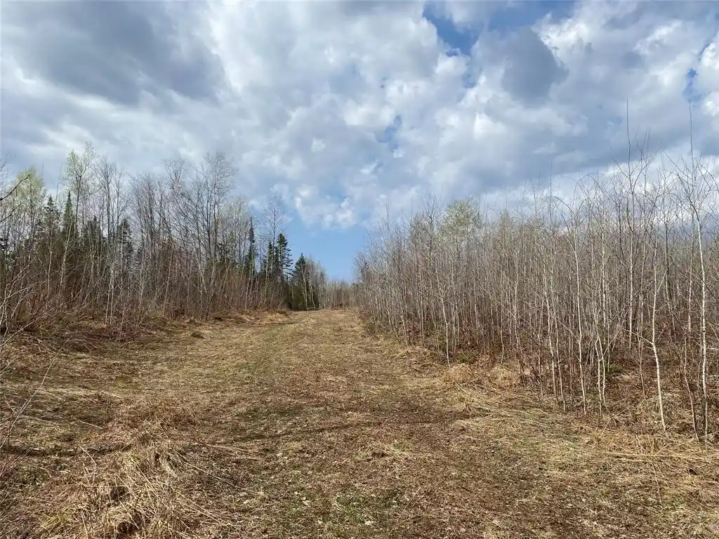 Photo 3 of Land for sale at Near Wilson Lake Road, Phillips, WI 54555 | MLS# 1599330 | Listing updated on 2026-08-24