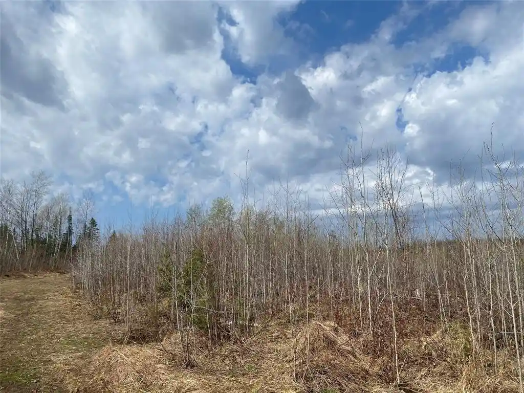Photo 3 of Land for sale at Near Wilson Lake Road, Phillips, WI 54555 | MLS# 1599330 | Listing updated on 2026-08-24