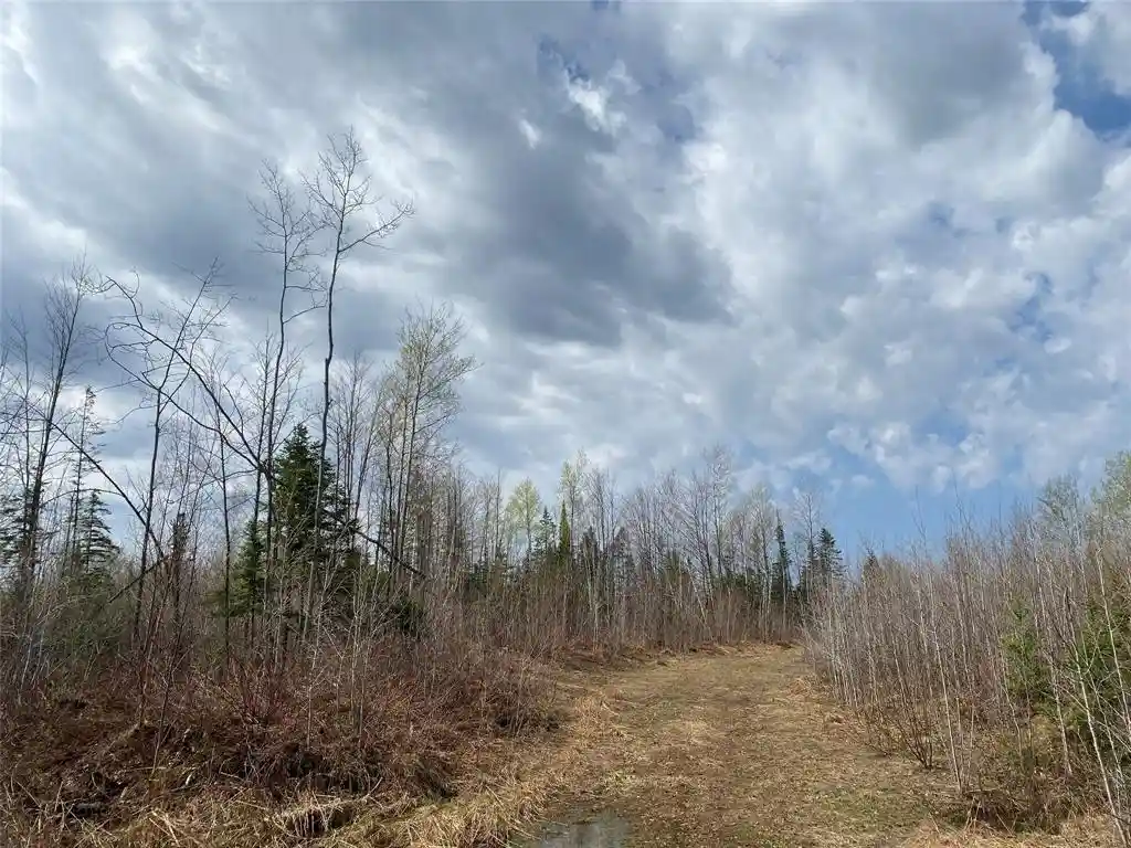 Photo 4 of Land for sale at Near Wilson Lake Road, Phillips, WI 54555 | MLS# 1599330 | Listing updated on 2026-08-24
