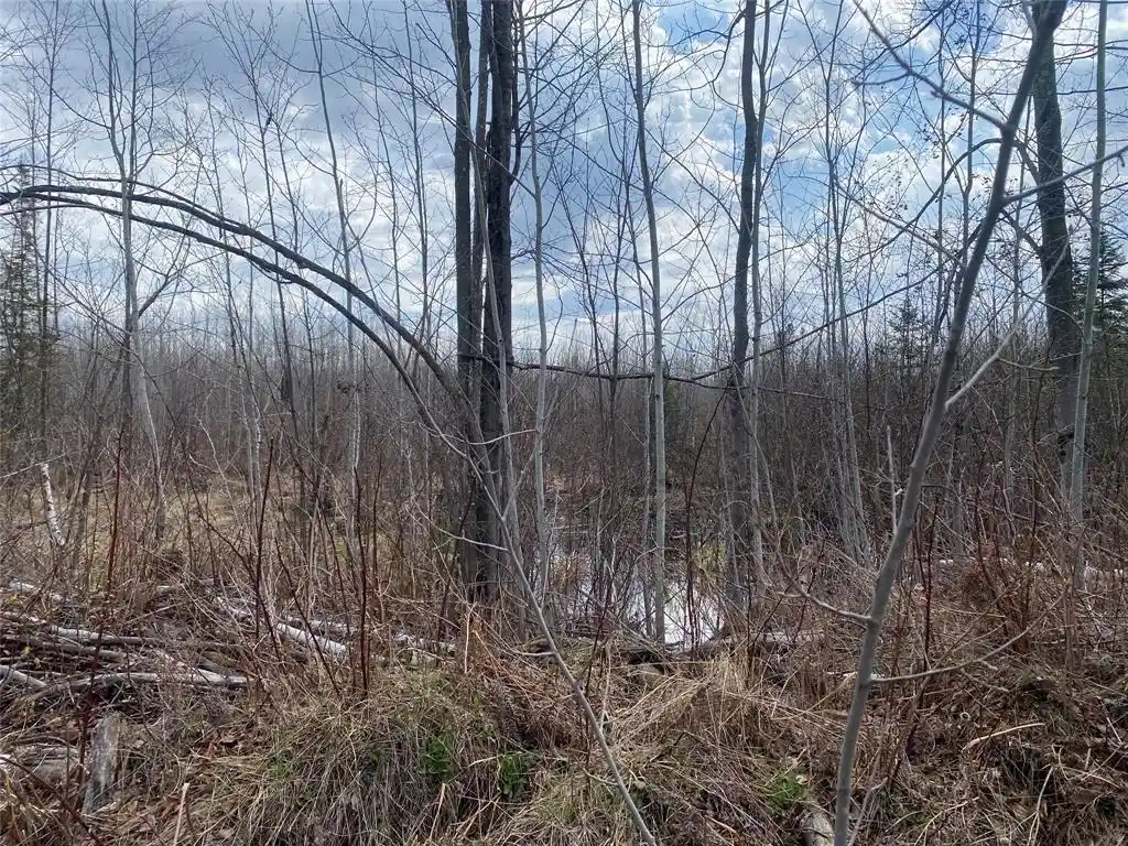 Photo 6 of Land for sale at Near Wilson Lake Road, Phillips, WI 54555 | MLS# 1599330 | Listing updated on 2026-08-24