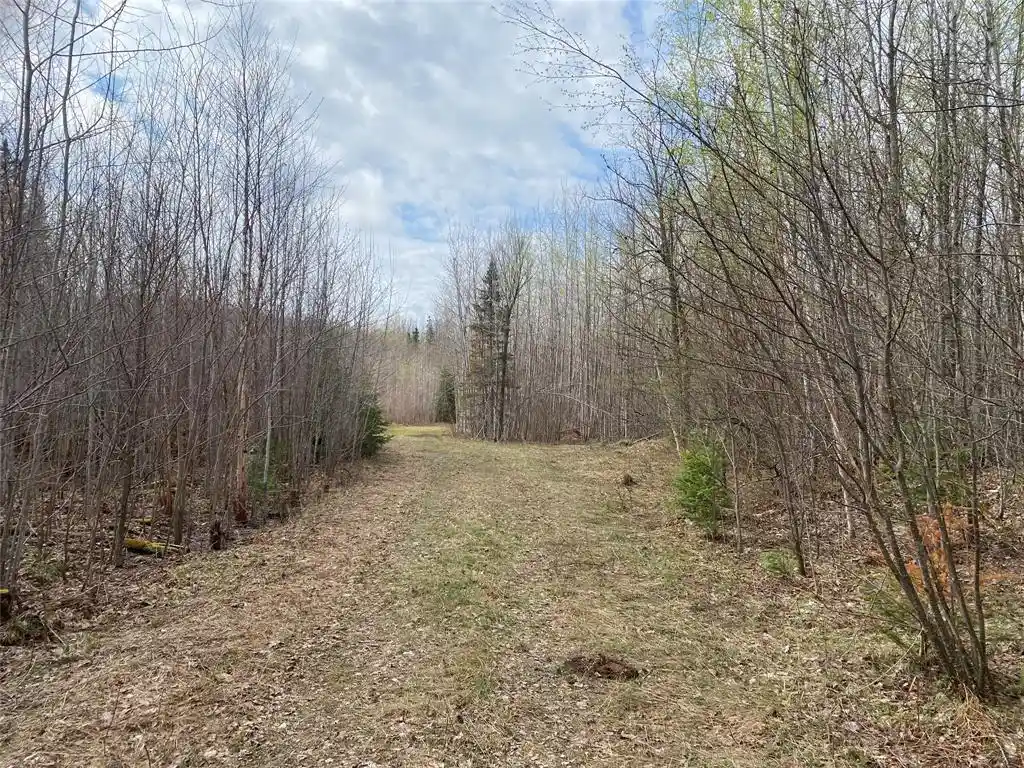 1st image of Near Wilson Lake Road, Phillips, WI 54555 | MLS# 1599327