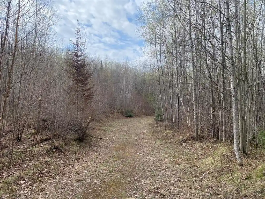 2nd image of Near Wilson Lake Road, Phillips, WI 54555 | MLS# 1599327