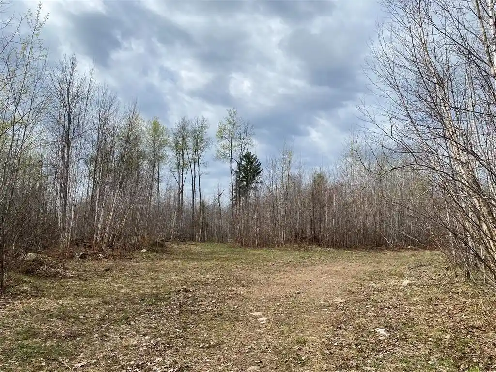 4th image of Near Wilson Lake Road, Phillips, WI 54555 | MLS# 1599327