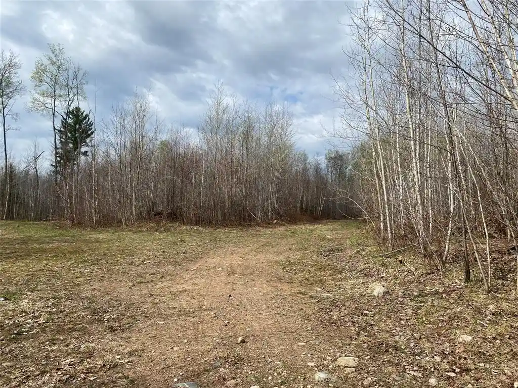 5th image of Near Wilson Lake Road, Phillips, WI 54555 | MLS# 1599327