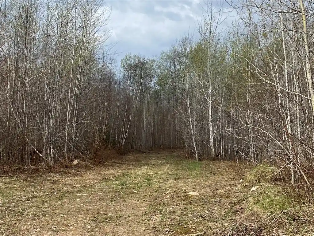 6th image of Near Wilson Lake Road, Phillips, WI 54555 | MLS# 1599327